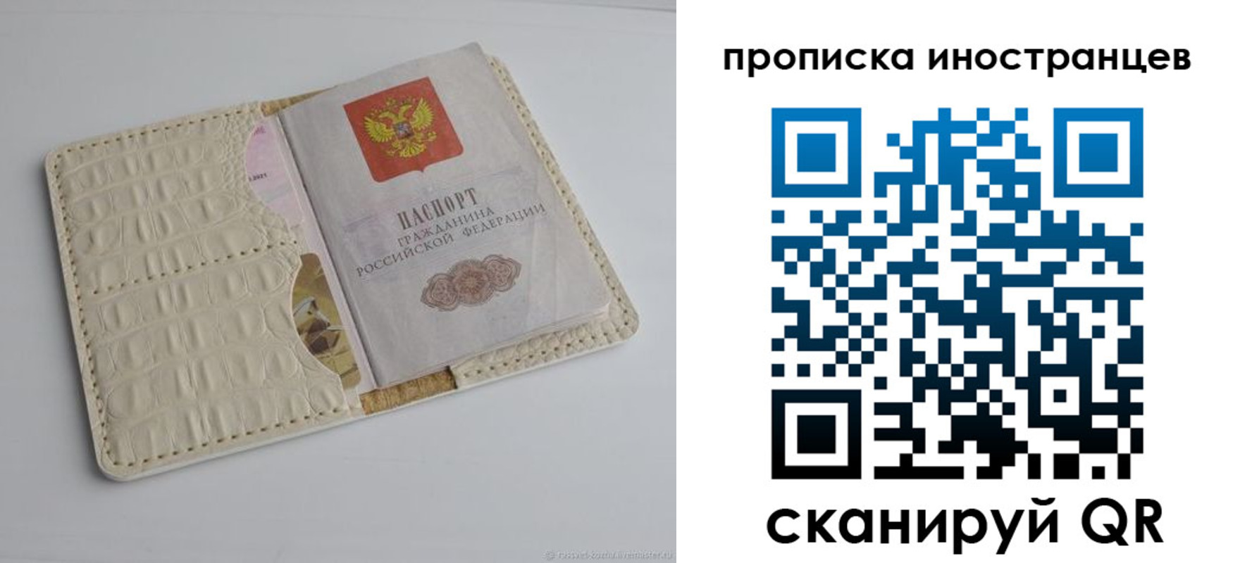 найти адрес прописки в Мончегорске